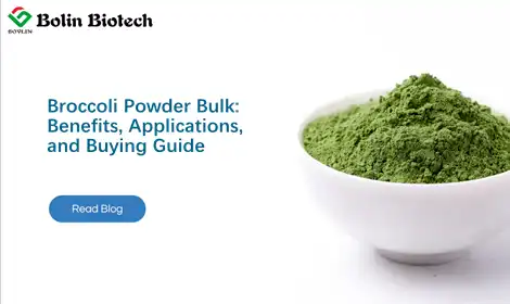 Broccoli Powder Bulk: Benefits, Applications, and Buying Guide